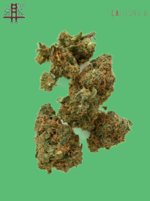 Gummy Bears Weed