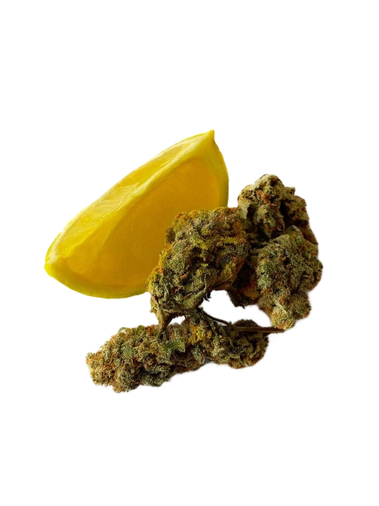 Lemon Haze