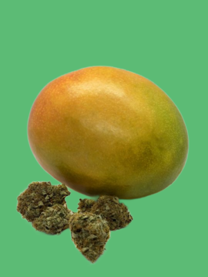 Mango Sapphire
