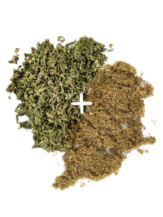 CHOCOLATE MINT SHAKE + KIEF Bundle