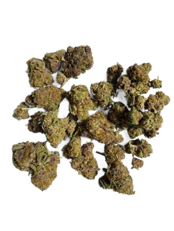 Purple Palm Tree Delight