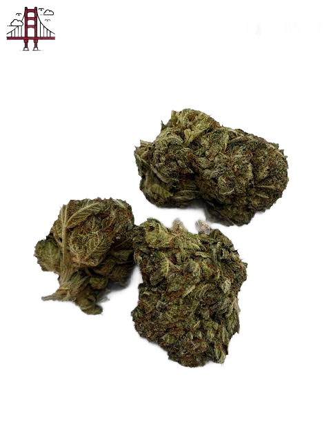 Refreshers Strain UK