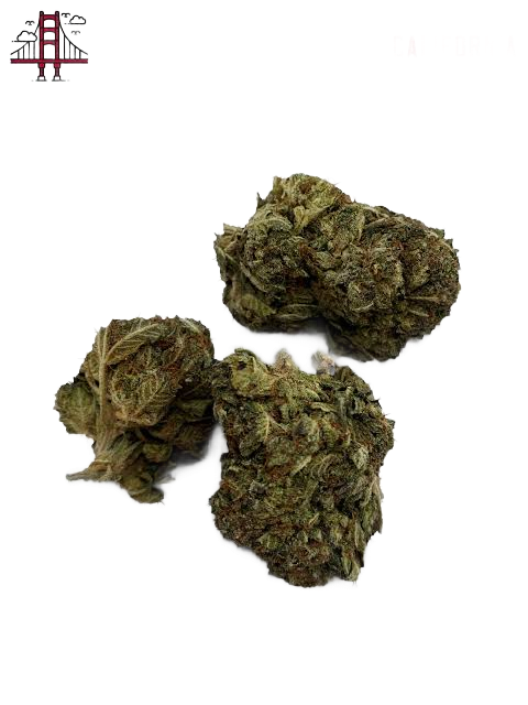 Refreshers Strain UK